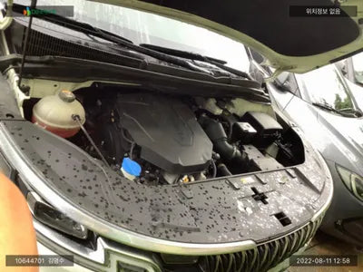 2020 Kia Carnival KNANC81BBMS004429 VIN:KNANC81BBMS004429