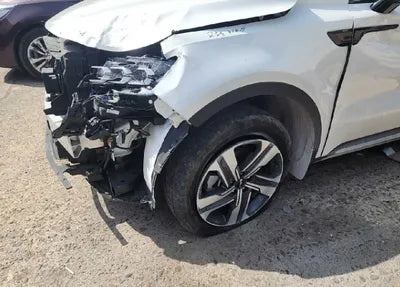 2022 Kia Sorento KNARL81GBNA063486 VIN:KNARL81GBNA063486