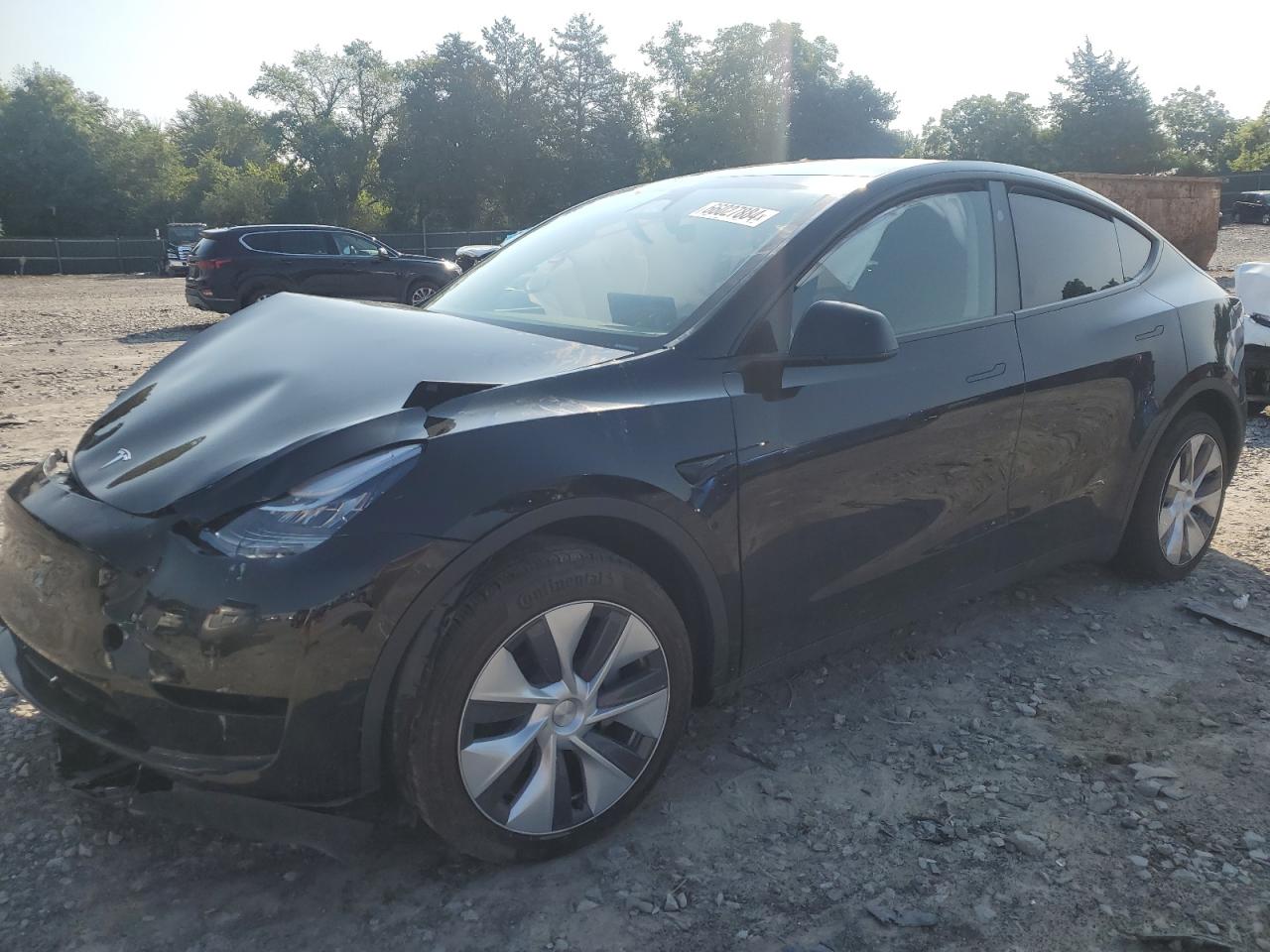 2023 TESLA MODEL Y  VIN:7SAYGDEEXPA143642