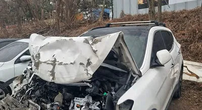 2016 Hyundai Santa FE KMHSW81UBGU666839 VIN:KMHSW81UBGU666839