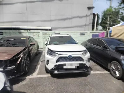 2019 Toyota RAV4 VIN: