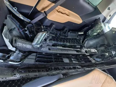 2021 Kia Carnival KNANE813BMS052570 VIN:KNANE813BMS052570