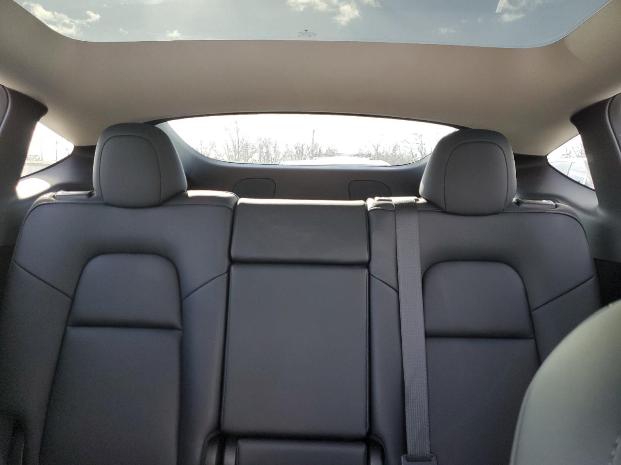 2023 TESLA MODEL Y  VIN:7SAYGDEE7PF674655