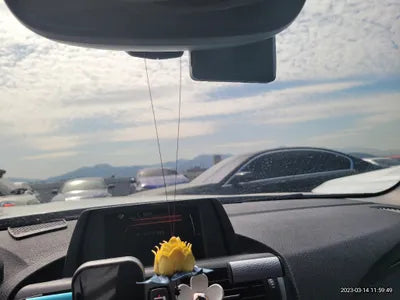 2017 BMW 118 WBA1S5106H5D28998 VIN:WBA1S5106H5D28998