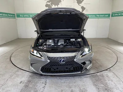 2021 Lexus ES 300 JTHBA1C10M2001268 VIN:JTHBA1C10M2001268