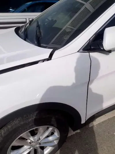 2018 Hyundai Santa FE KMHSW81UBJU855242 VIN:KMHSW81UBJU855242