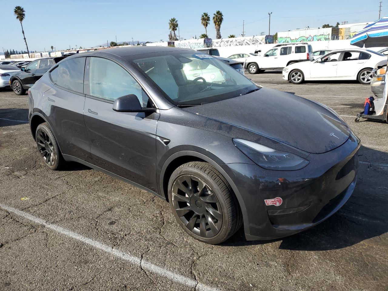 2024 TESLA MODEL Y  VIN:7SAYGDED2RF055374