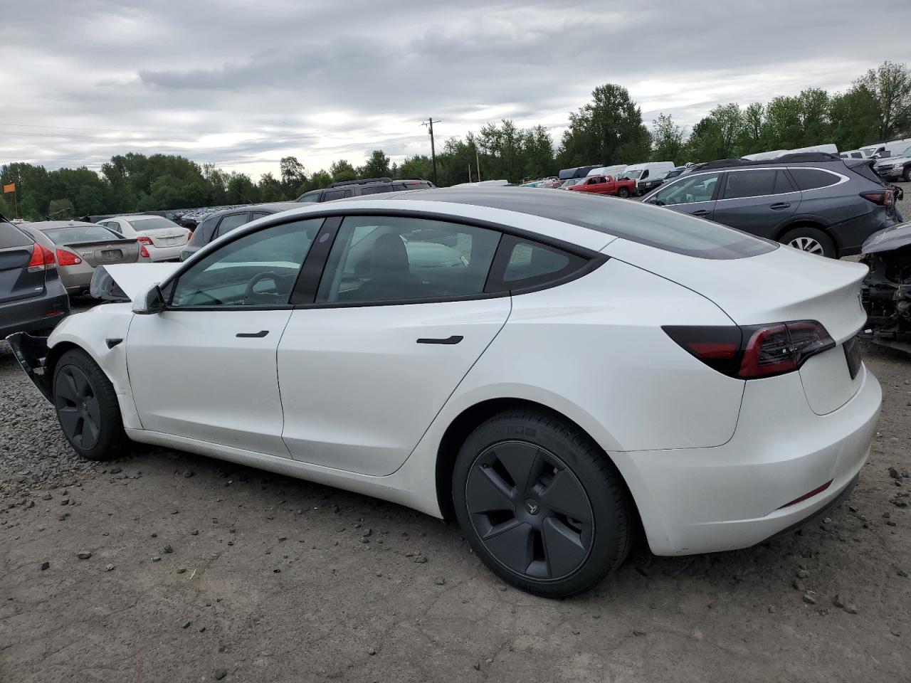 2023 TESLA MODEL 3  VIN:5YJ3E1EA2PF564136