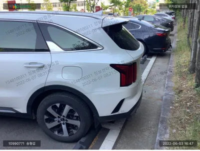 2020 Kia Sorento KNARL81BGMA061716 VIN:KNARL81BGMA061716
