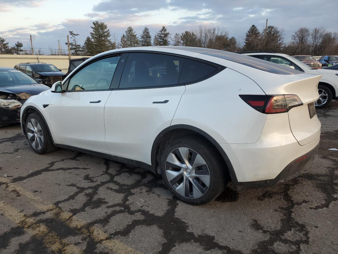 2023 TESLA MODEL Y  VIN:7SAYGDEE0PA056087