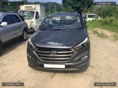 2016 Hyundai Tucson KMHJ281ABGU174334 VIN:KMHJ281ABGU174334