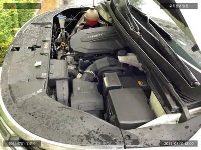 2020 Kia Carnival KNANC81BBMS004429 VIN:KNANC81BBMS004429