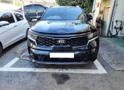 2021 Kia Sorento KNARH81GBMA011735 VIN:KNARH81GBMA011735
