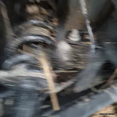 2021 BMW X4 M NONE VIN: