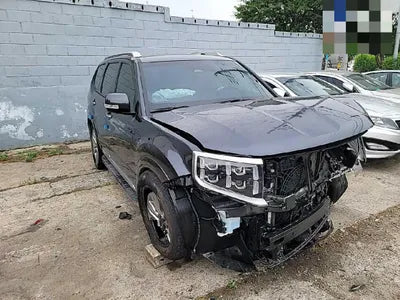 2022 Kia Mohave KNAKN814DNA236062 VIN:KNAKN814DNA236062