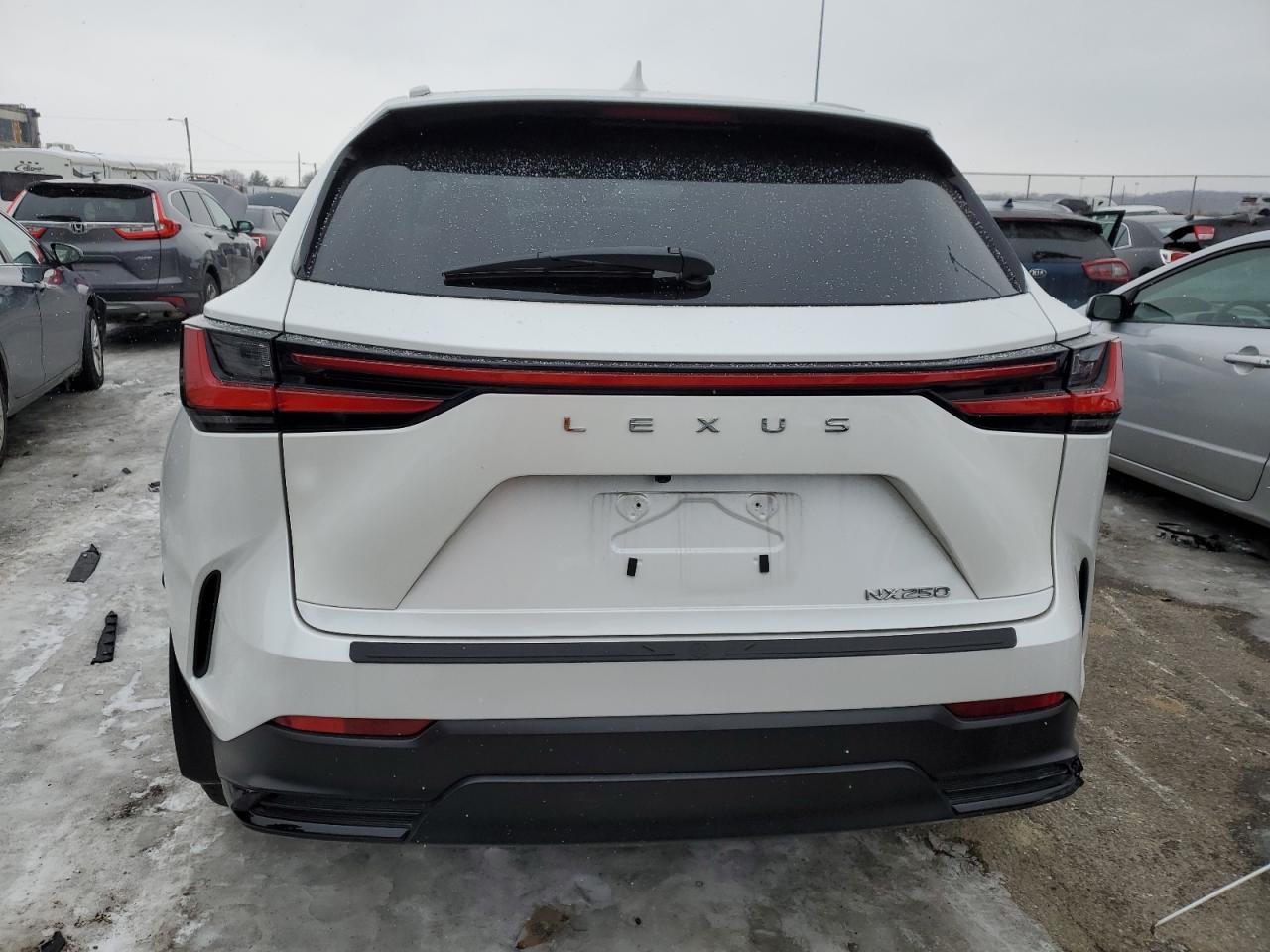 2024 LEXUS NX 250 BASE VIN:2T2ADCAZ6RC010487