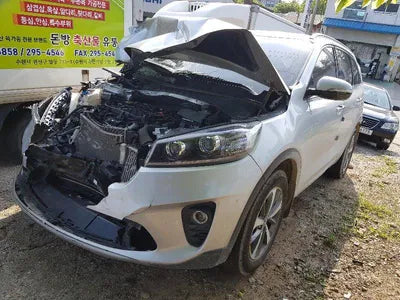2019 Kia Sorento KNAPG81BDLA597519 VIN:KNAPG81BDLA597519