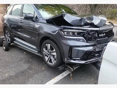 2022 Kia Sorento KNARG81GDNA105395 VIN:KNARG81GDNA105395