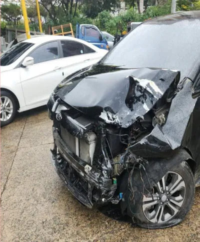 2018 Kia Carnival KNAMB81ABKS483304 VIN:KNAMB81ABKS483304