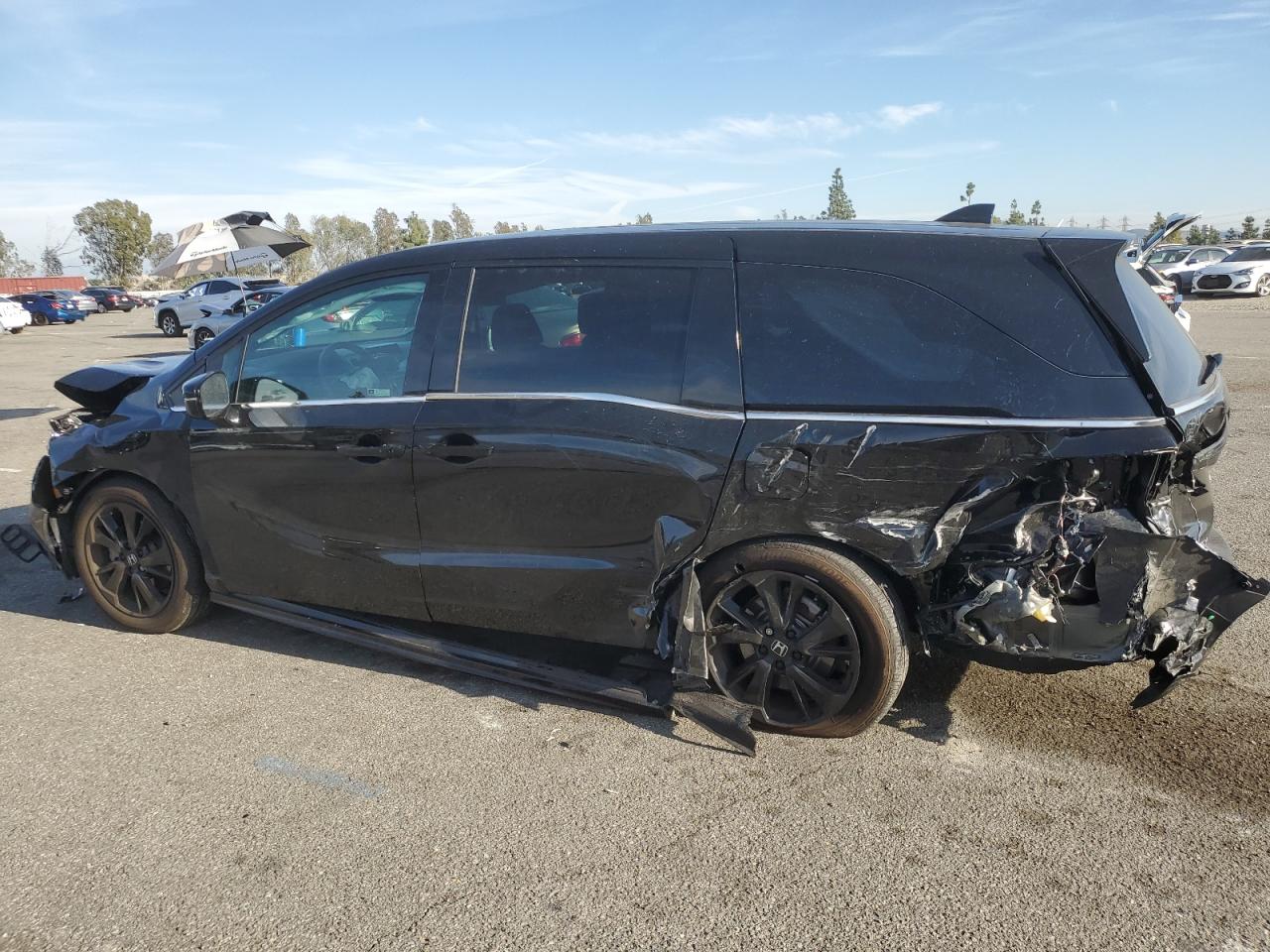 2024 HONDA ODYSSEY SPORT VIN:5FNRL6H77RB003415