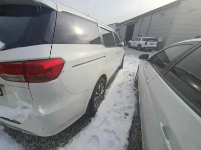 2016 Kia Carnival KNAMB81ABGS176969 VIN:KNAMB81ABGS176969