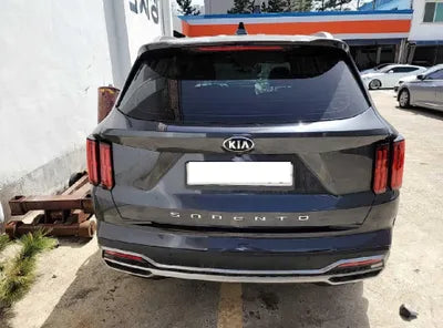 2021 Kia Sorento KNARH81BGMA056349 VIN:KNARH81BGMA056349