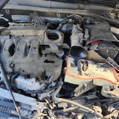 2016 Volkswagen Golf WVWZZZAUZGW022384 VIN:WVWZZZAUZGW022384