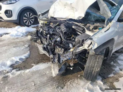 2019 Hyundai Kona KMHK4815GKU401737 VIN:KMHK4815GKU401737