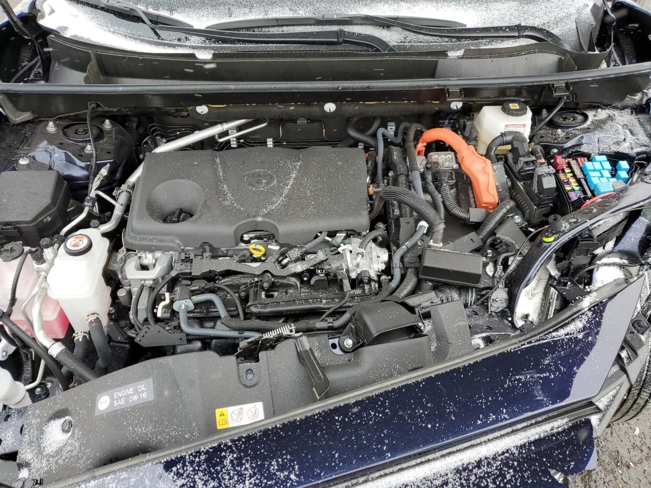 2024 TOYOTA RAV4 XLE VIN:JTMRWRFV0RD241754