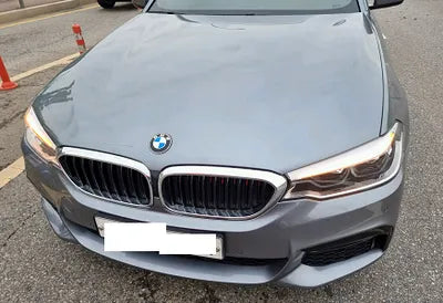 2020 BMW 520 WBAJK9103LCE44204 VIN:WBAJK9103LCE44204