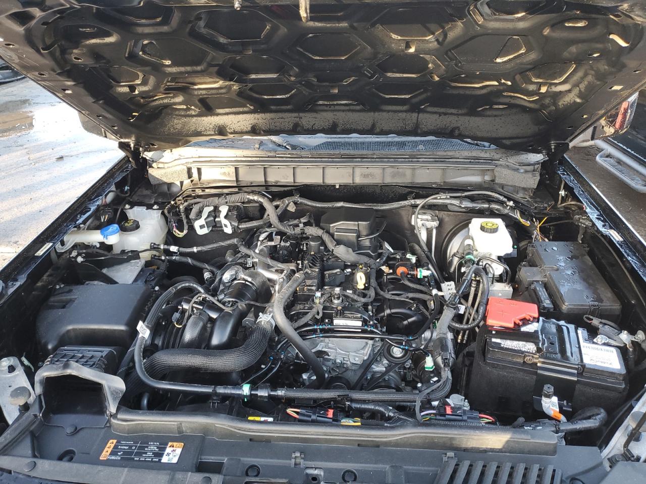 2023 FORD BRONCO BASE VIN:1FMDE5BH9PLB30737