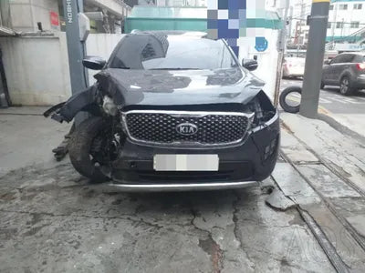 2016 Kia Sorento KNAPS81ABGA263192 VIN:KNAPS81ABGA263192