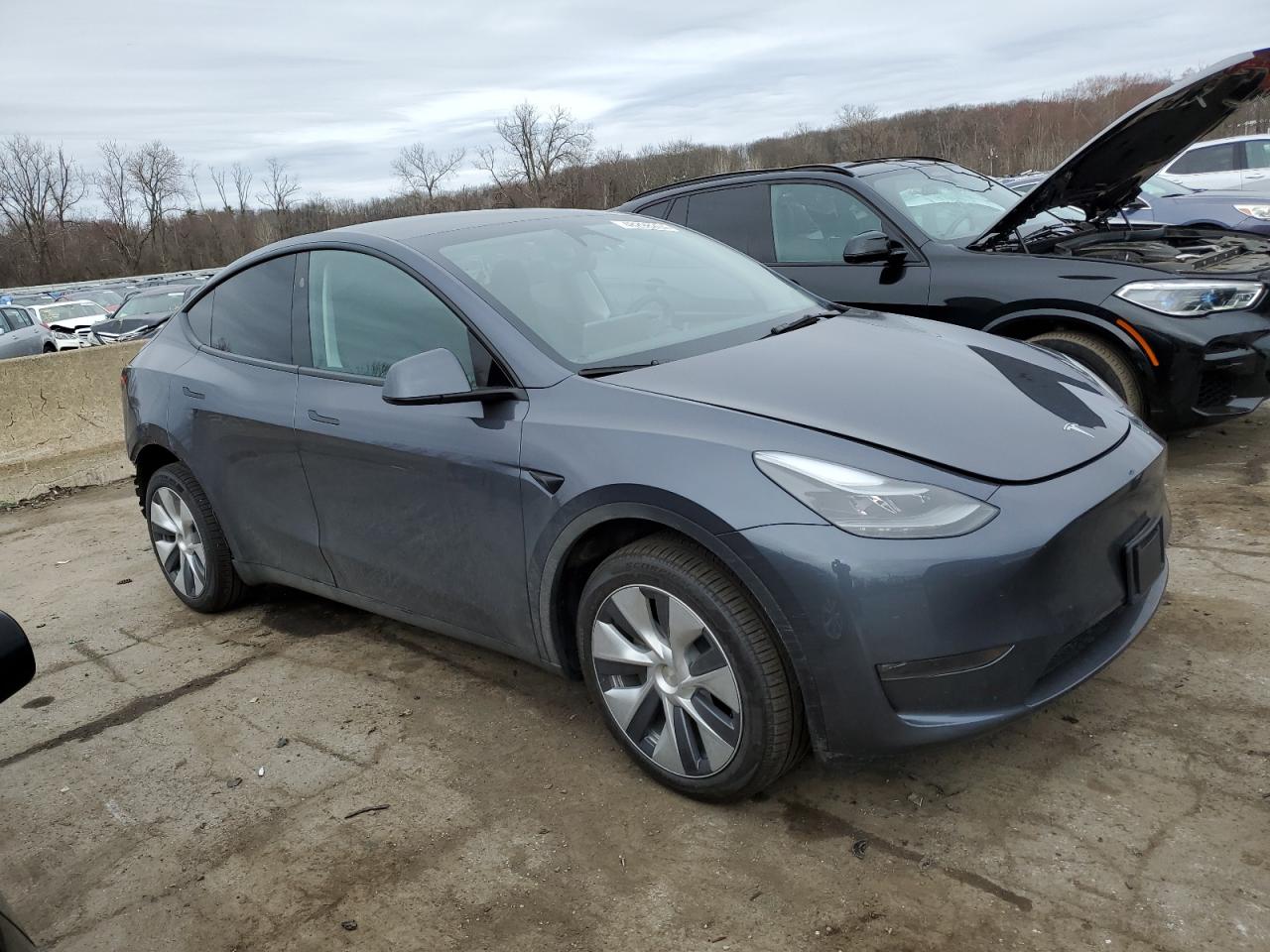 2023 TESLA MODEL Y  VIN:7SAYGDEE7PA202646