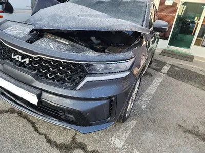 2023 Kia Sorento KNARH81BGPA192280 VIN:KNARH81BGPA192280