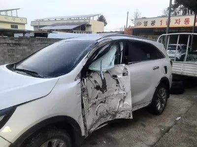 2019 Kia Sorento KNAPH81BDKA479311 VIN:KNAPH81BDKA479311