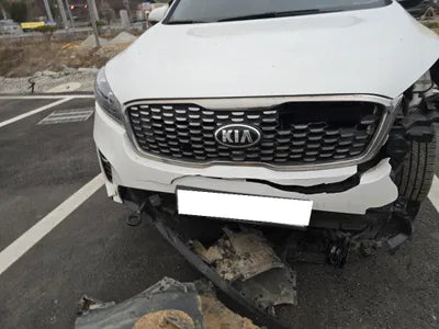 2019 Kia Sorento KNAPG81BDKA540068 VIN:KNAPG81BDKA540068