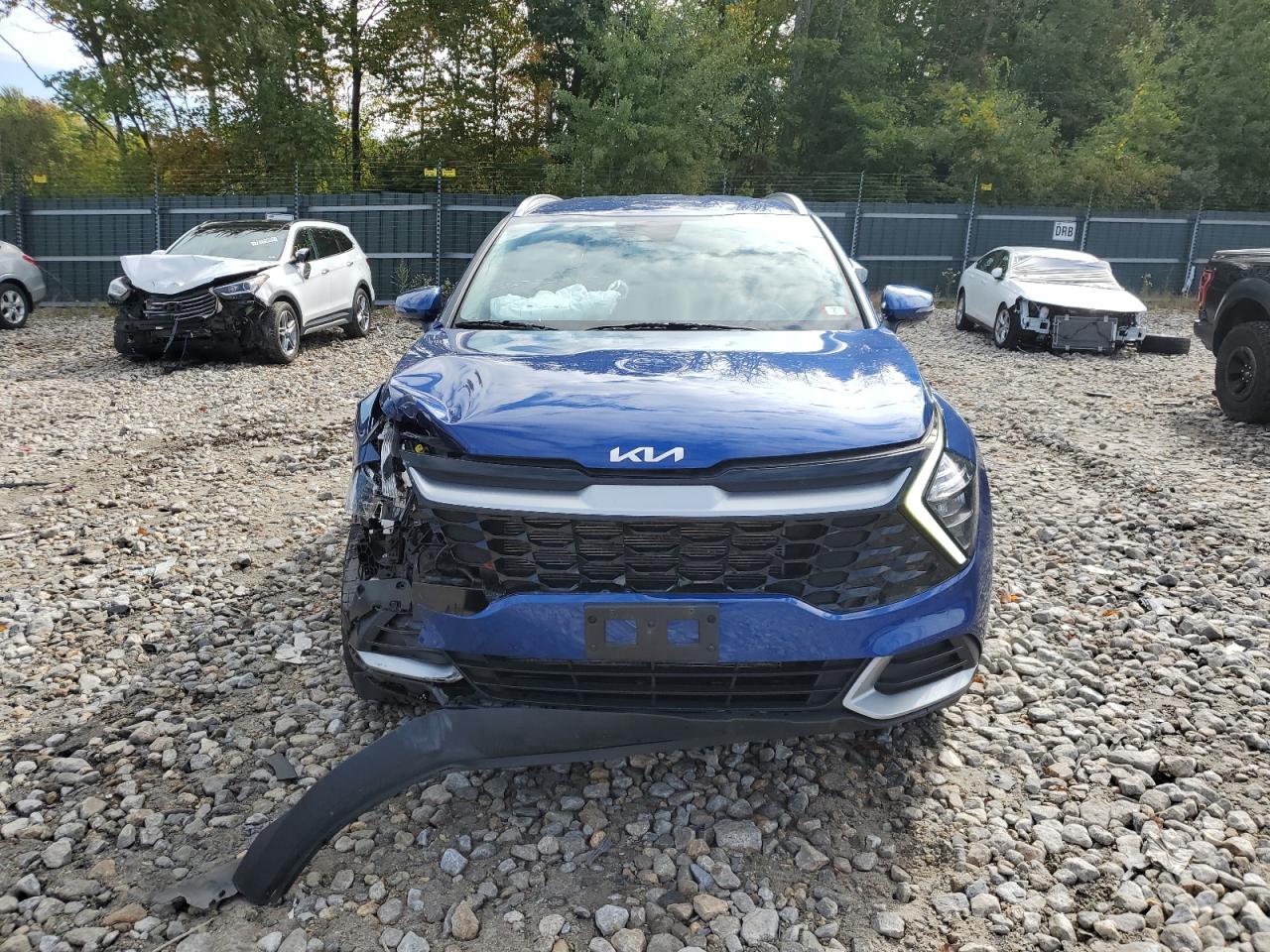 2023 KIA SPORTAGE EX VIN:5XYK3CAF3PG109092