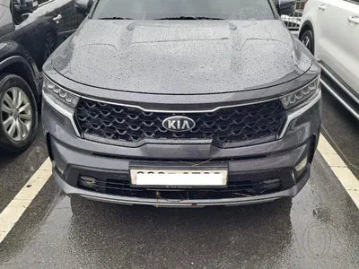 2020 Kia Sorento KNARL81BGMA025523 VIN:KNARL81BGMA025523