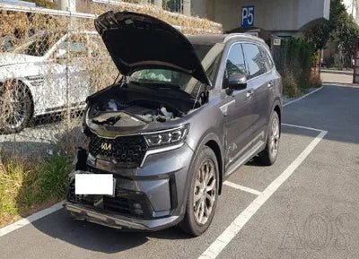 2023 Kia Sorento KNARH81FGPA182937 VIN:KNARH81FGPA182937