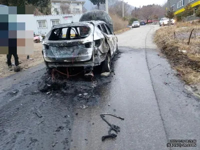 2017 Hyundai Santa FE KMHSW81UBJU806107 VIN:KMHSW81UBJU806107