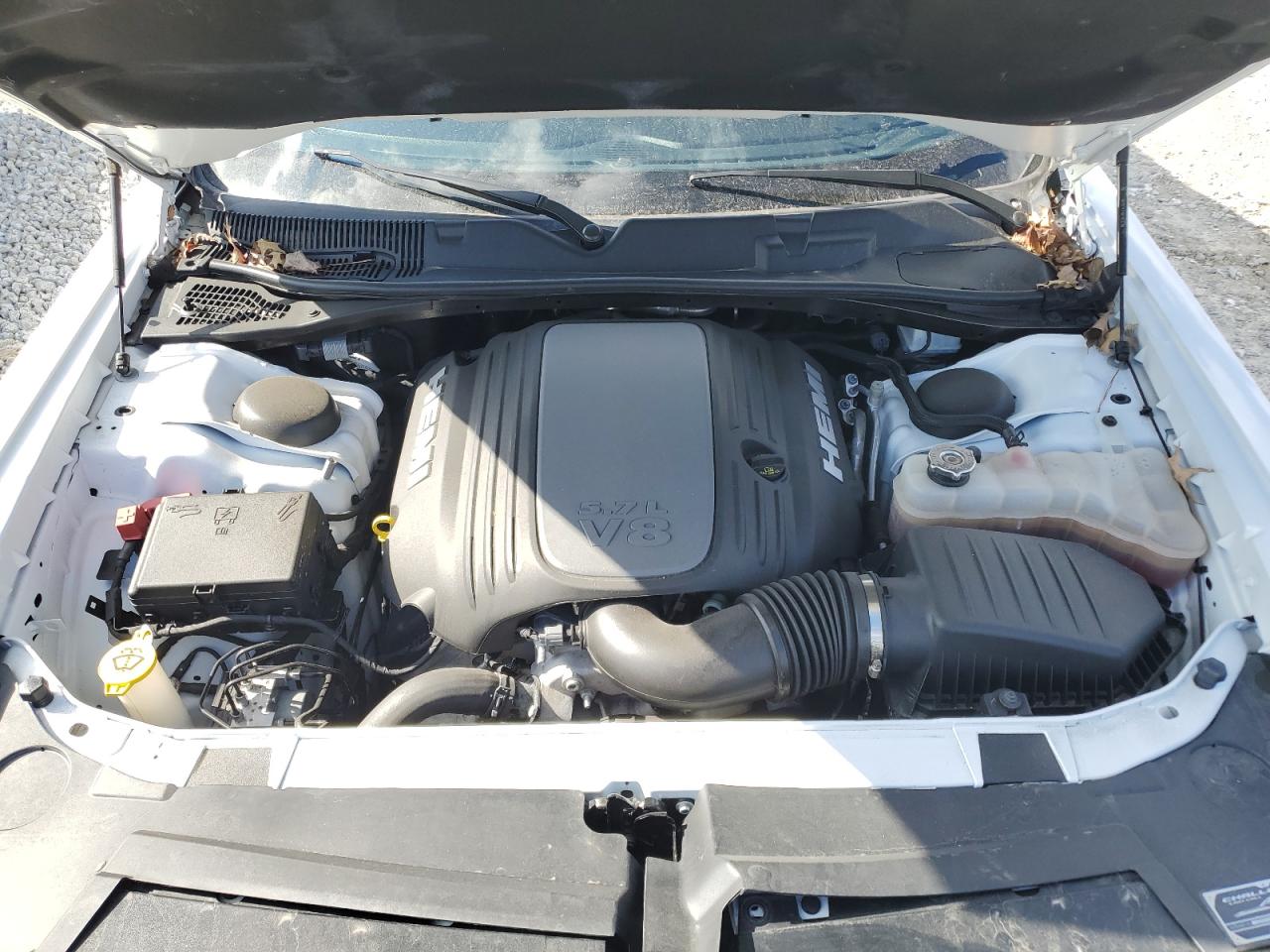 2023 DODGE CHALLENGER R/T VIN:2C3CDZBTXPH504028