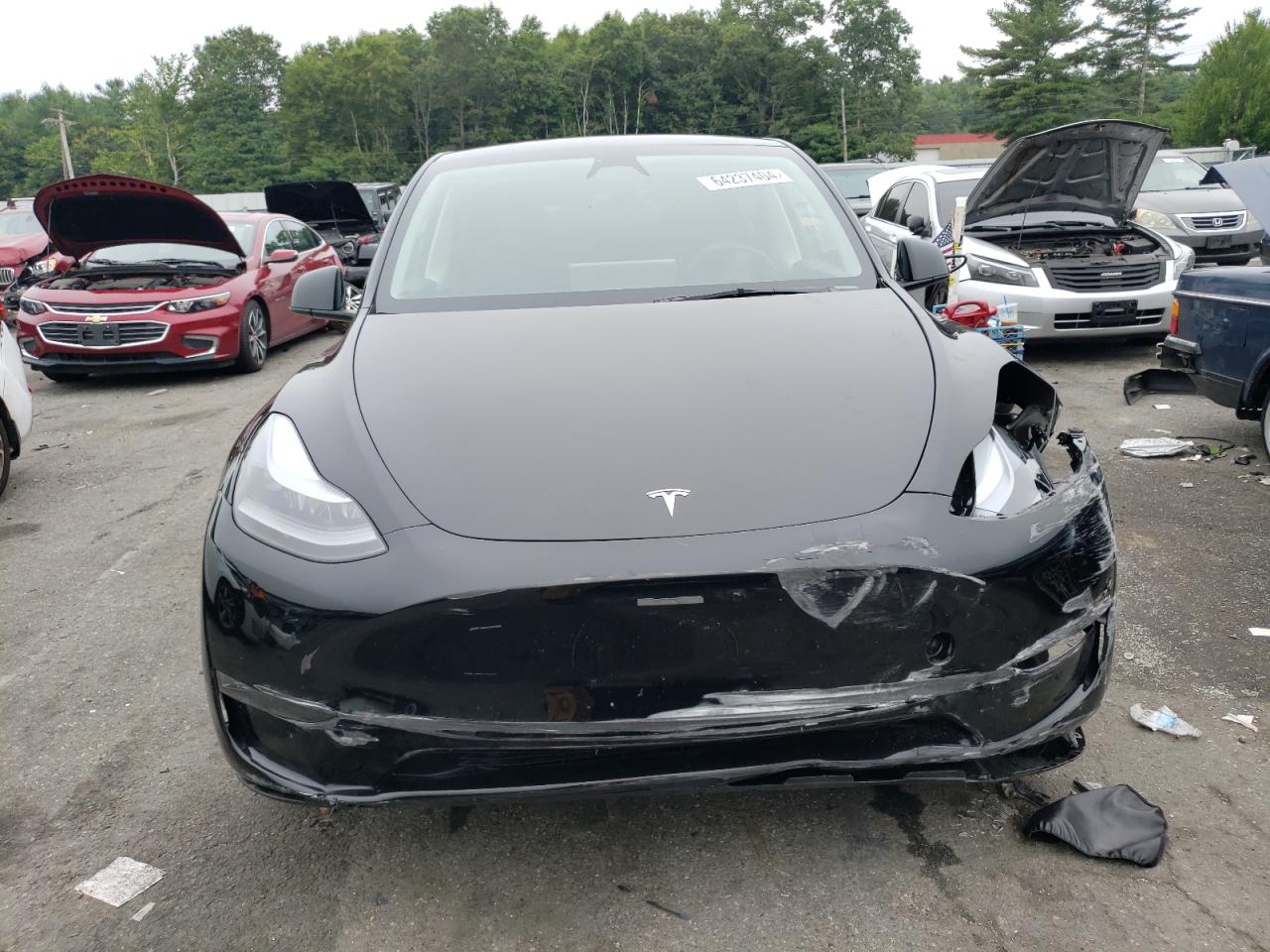 2023 TESLA MODEL Y  VIN:7SAYGDEE2PA184024