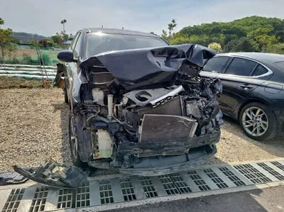 2018 Kia Sorento KNAPF81ABJA462252 VIN:KNAPF81ABJA462252