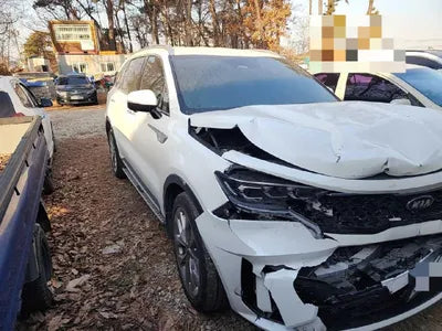 2020 Kia Sorento KNAPG81BBLA569568 VIN:KNAPG81BBLA569568