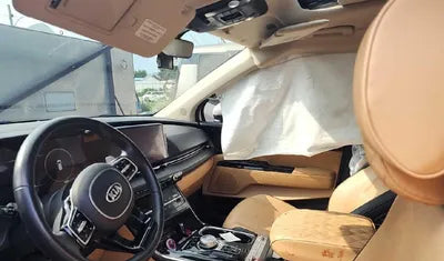 2021 Kia Carnival KNANE81BBMS022169 VIN:KNANE81BBMS022169