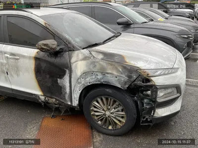 2019 Hyundai Kona KMHK4815GLU509960 VIN:KMHK4815GLU509960