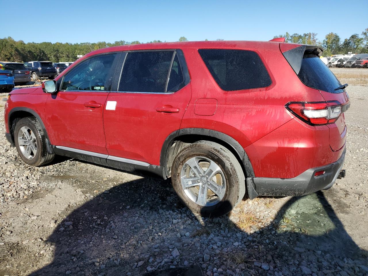 2023 HONDA PILOT EXL VIN:5FNYG2H57PB006870