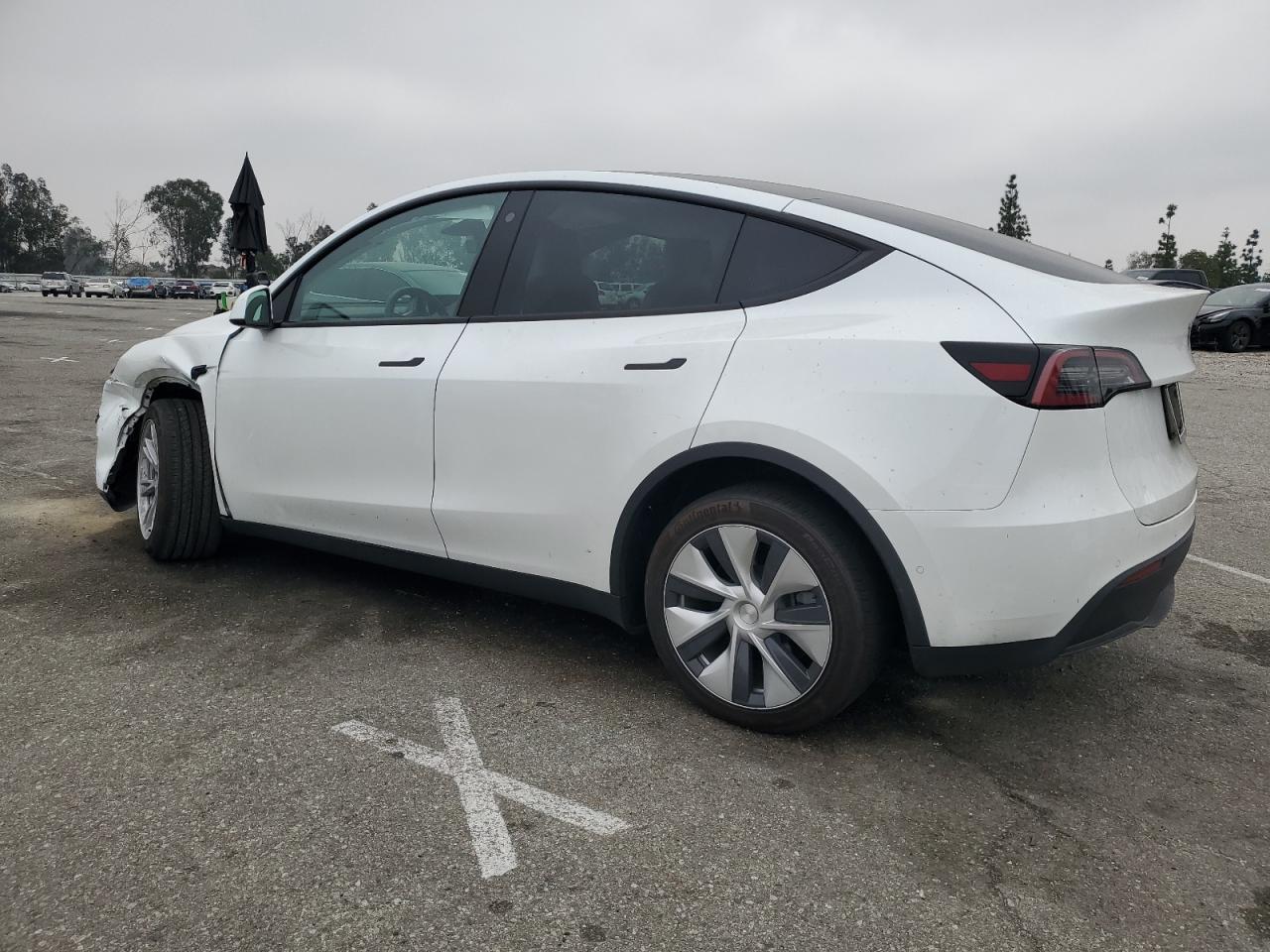 2022 TESLA MODEL Y  VIN:7SAYGDEE8NF512031