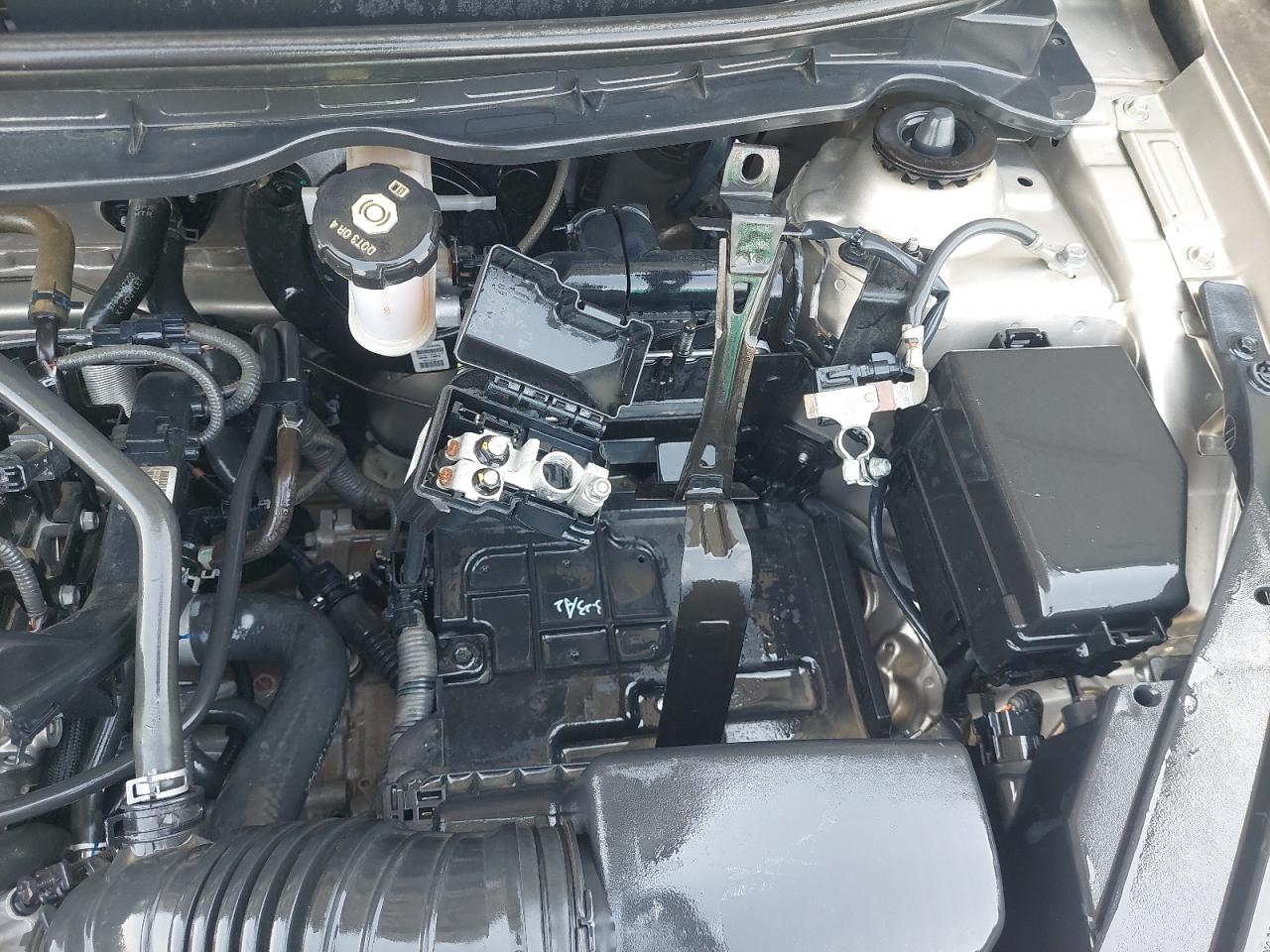 2023 KIA PEGAS VIN:LJD0AA297P0******