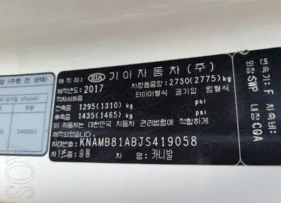2018 Kia Carnival KNAMB81ABJS419058 VIN:KNAMB81ABJS419058